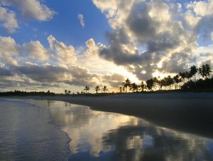 PRAIA DO FRANCÊS A1