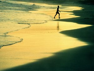 PRAIA DO FRANCÊS A2