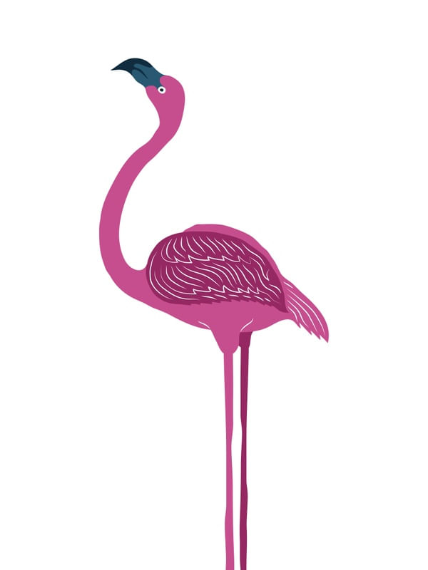 FLAMINGOOO