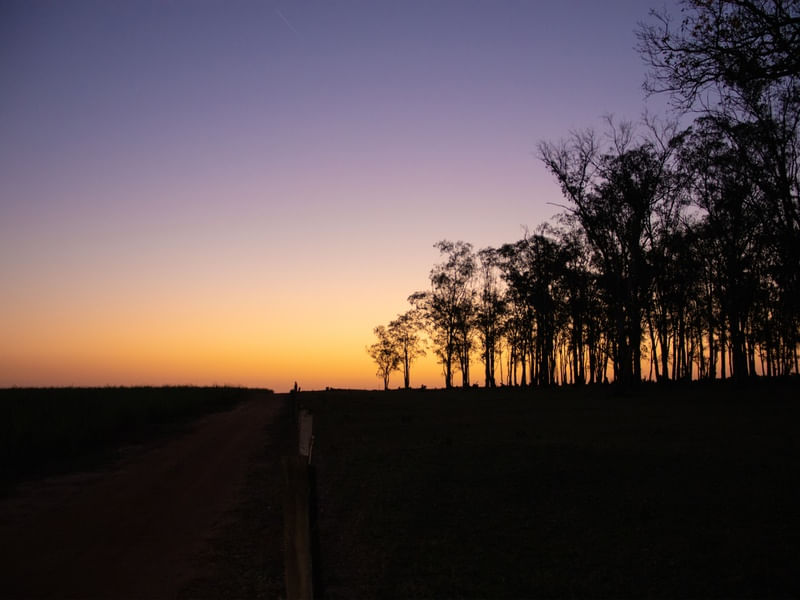 GRADE SUNSET