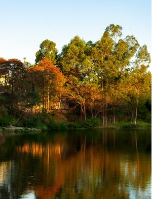 PAISAGEM DOCE