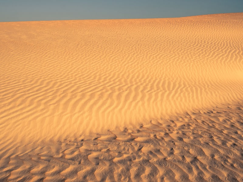 DUNAS GOLD