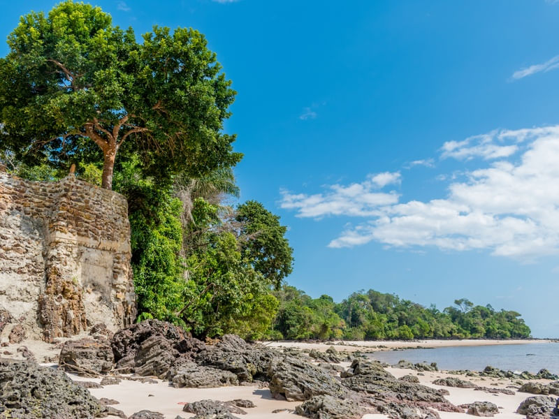 A PRAIA DE COTIJUBA