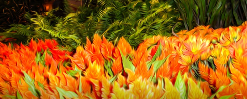 FLORES LV