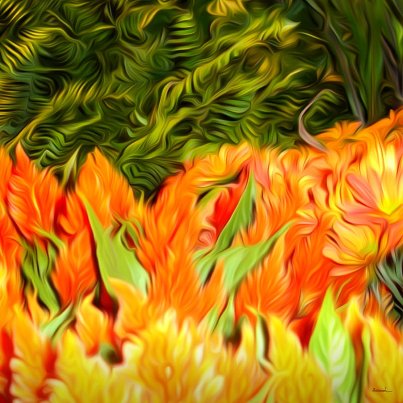 FLORES LV - PARTE 2