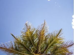 COQUEIRO & CÉU MINIMALISTA