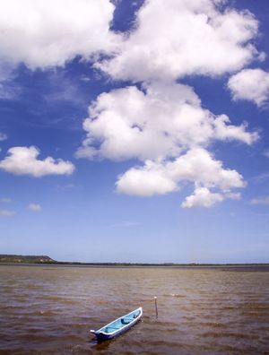 A CANOA E O VENTO