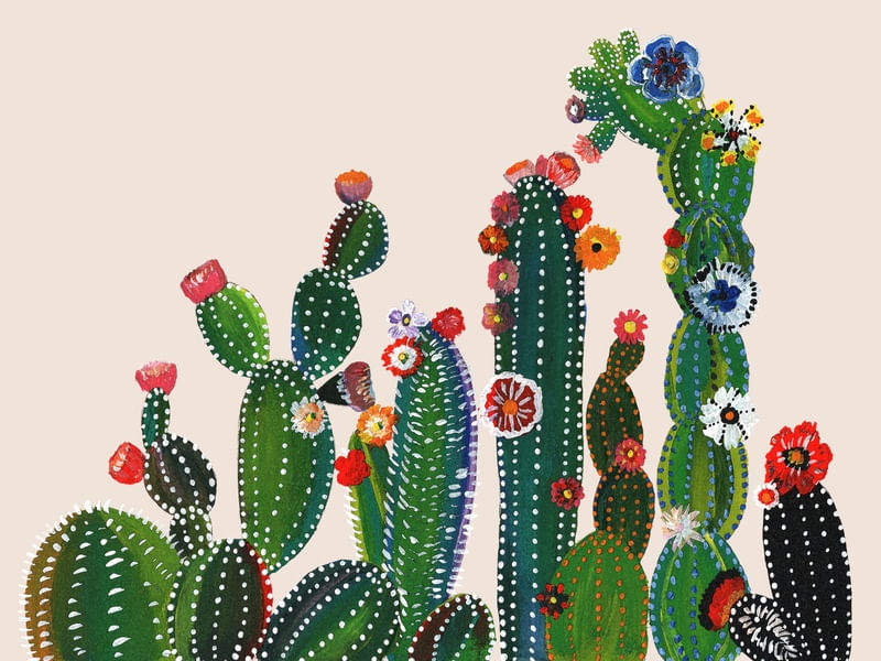 CACTI Nº1