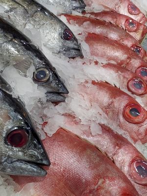 PEIXES ROSAS E PRETOS