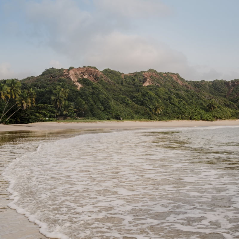 UM DIA PERFEITO - PRAIA DE COQUEIRINHO, PARAÍBA - QUADRADO
