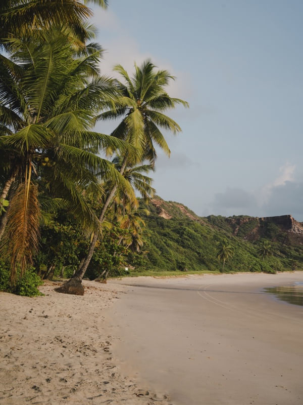 PRAIA DE COQUEIRINHO, PARAÍBA