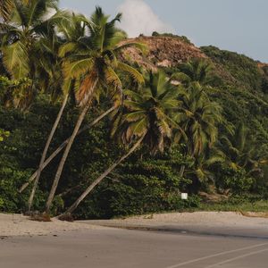 VERÃO NORDESTINO - QUADRADO