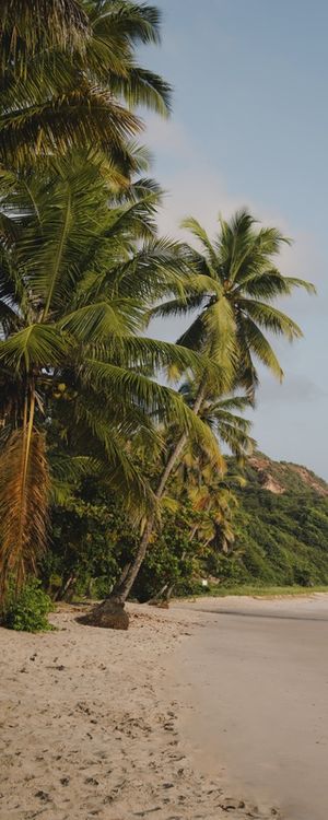 PRAIA DE COQUEIRINHO, PARAÍBA - QUADRADO - PANORÂMICO VERTICAL