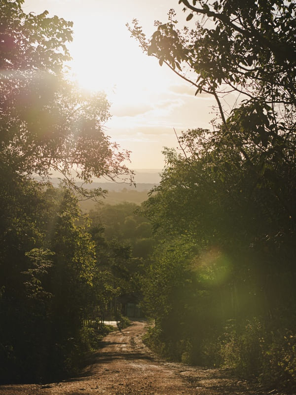 CAMINHOS DO BREJO PARAIBANO