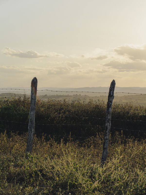 FIM DE TARDE NA FAZENDA