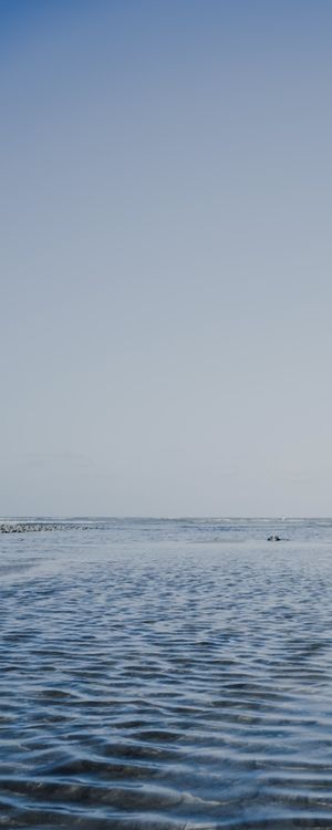 MAR MINIMAL (VERTICAL)