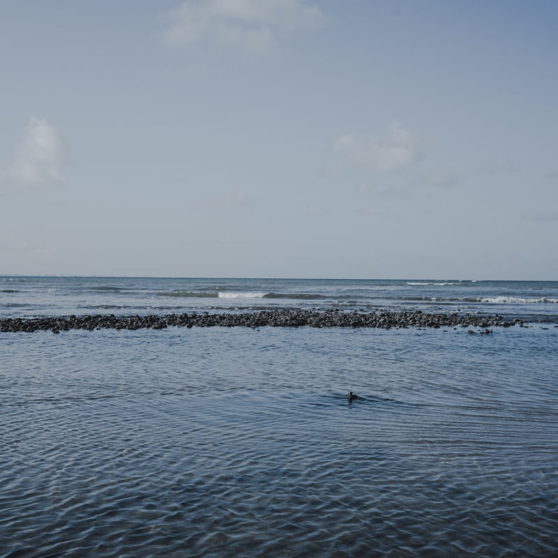 PAZ NO MAR (VERTICAL)