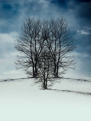 O INVERNO ESTÁ AQUI