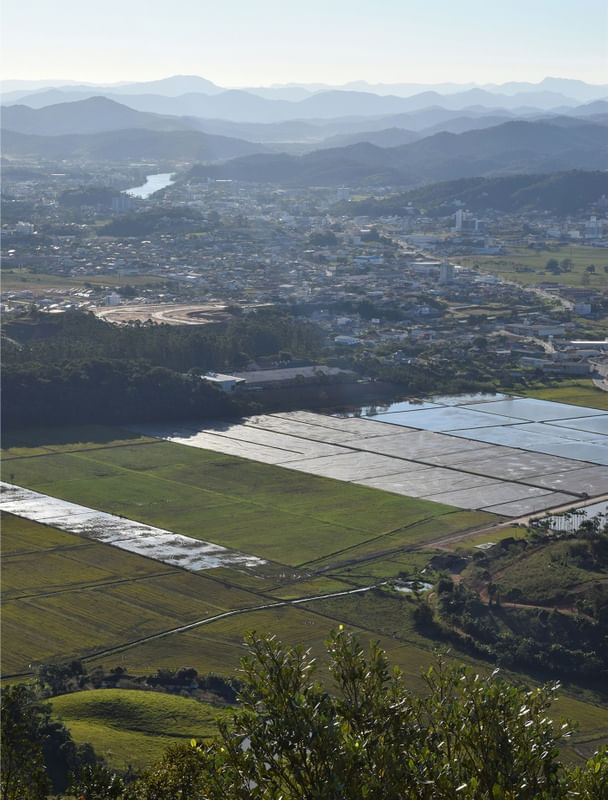VISTA DOS CAMPOS DE ARROZ EM GASPAR