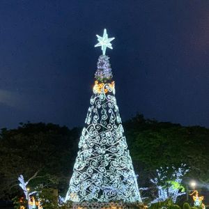 CIDADE NATAL