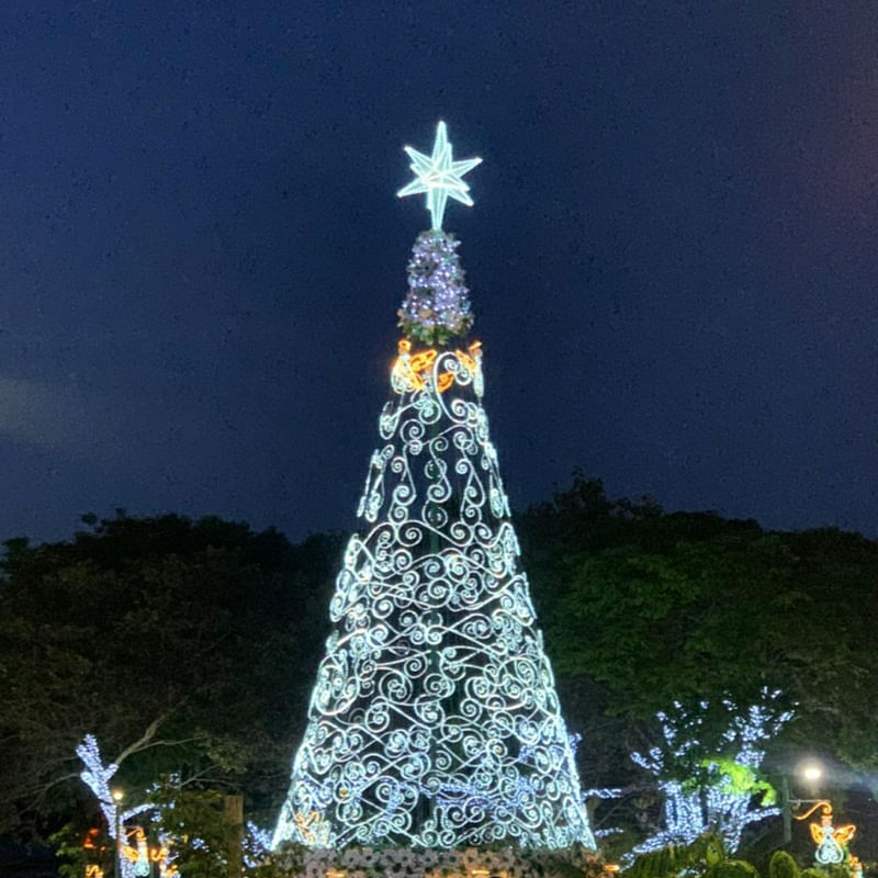 CIDADE NATAL