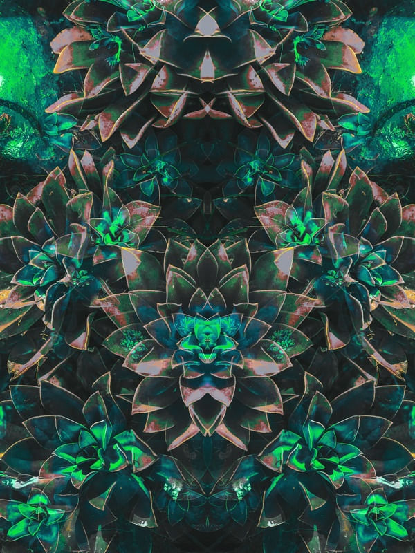 JARDIM SIMÉTRICO