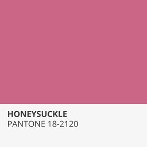 HONEYSUCKLE