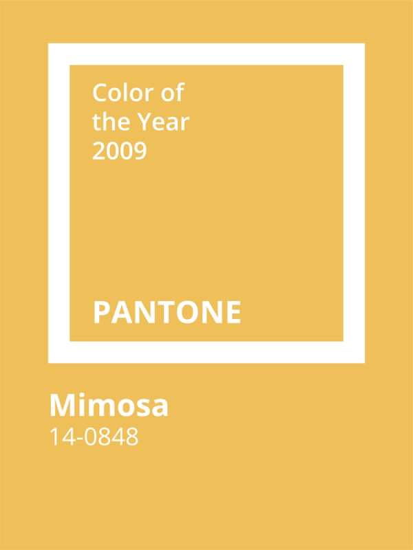 PANTONE MIMOSA
