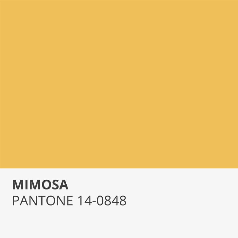 PANTONE 2009 - MIMOSA