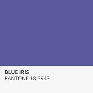 BLUE IRIS