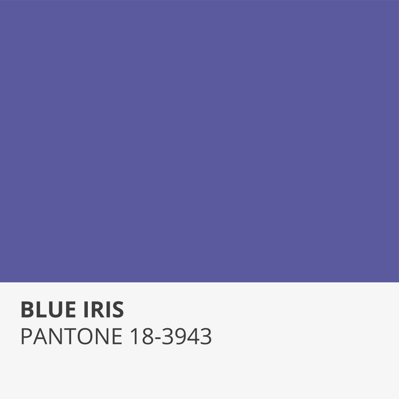 BLUE IRIS
