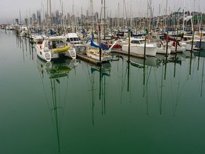 AUCKLAND REFLEXO