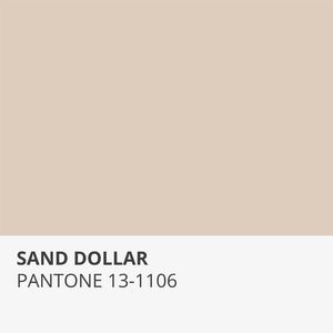 SAND DOLLAR