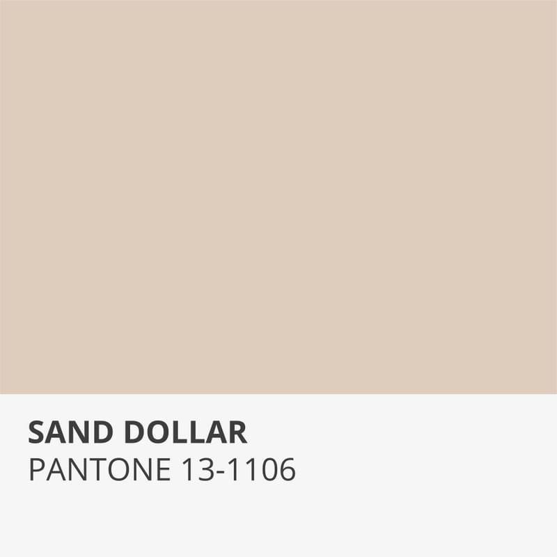 SAND DOLLAR