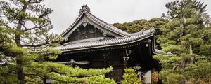 TELHADO JAPONES NAS ARVORES II