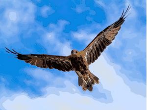 GAVIAO ABSTRATO