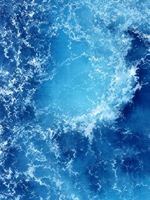 PRIDE OF THE SEA
