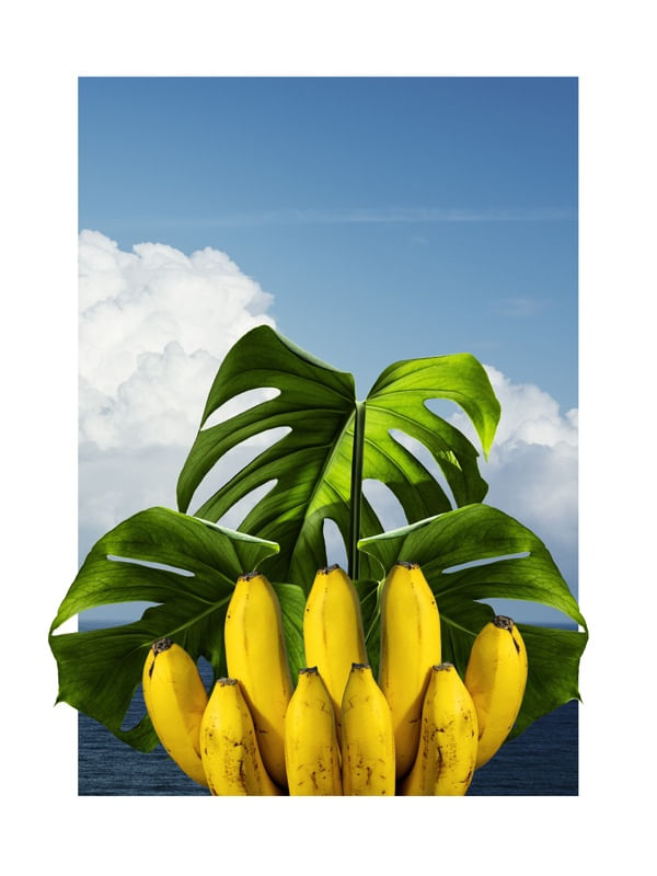 TROPICÁLIA IMAGINÁRIA