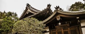 TELHADO JAPONES EM MADEIRA