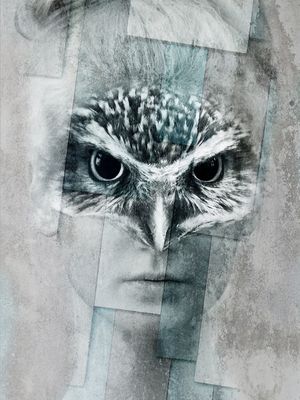 CITY OF BIRDS