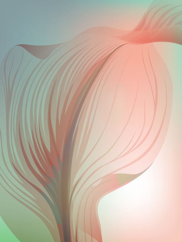 ZEN FLOWER 2