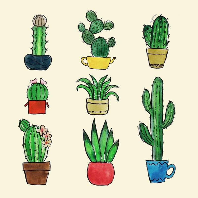 VASOS DE CACTOS EM AQUARELA