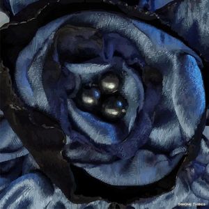 FLORAL AZUL MARINHO 1