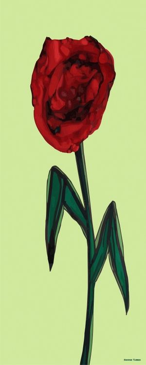 FLORAL ROSA VERMELHA
