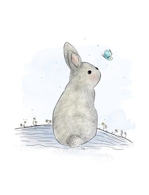 O COELHINHO E A BORBOLETA