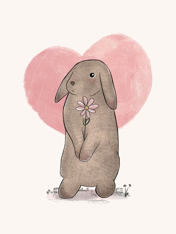 O COELHINHO E A FLOR