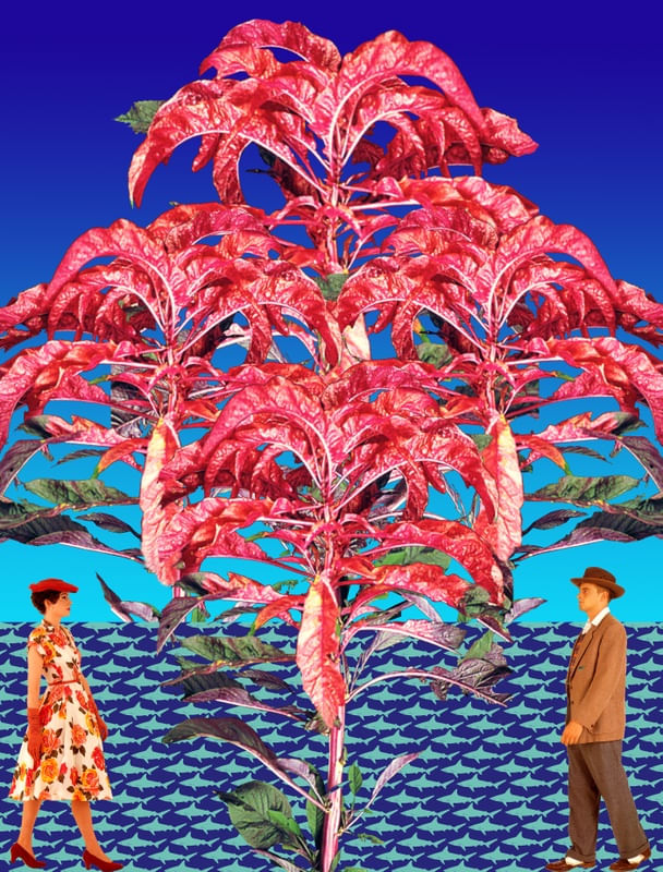 TAMPALA