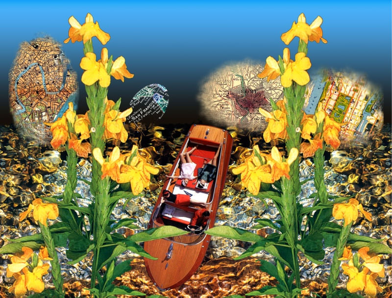 CROSSANDRA