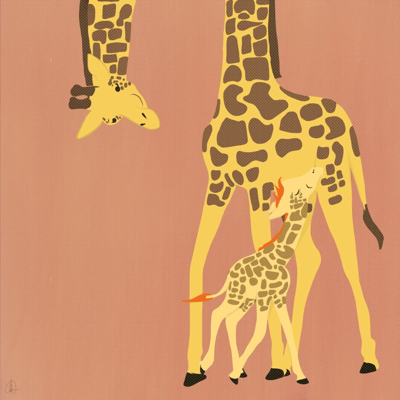 MEU MAMÍFERO FAVORITO - GIRAFA!
