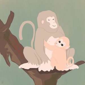 MEU MAMÍFERO FAVORITO - MACACO